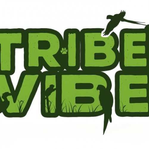 Tribe Vibe