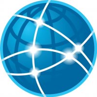 The Network Realty Group