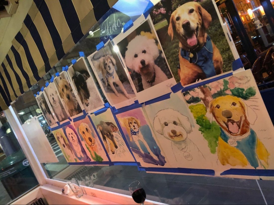 Sip and Paint a Pet Portrait Fun Barking Dog New York Tickets, Barking