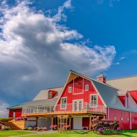 Debora Rice-Salomons