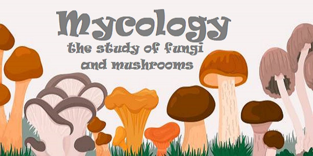 Mycology Science Class