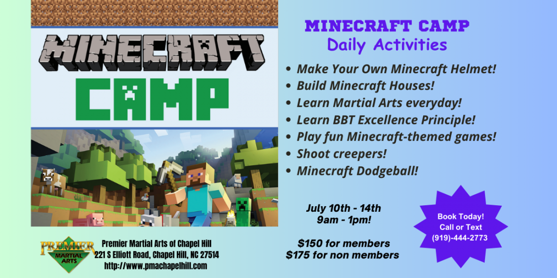 Minecraft Themed Martial Arts Camp