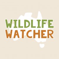 Wildlife Watcher