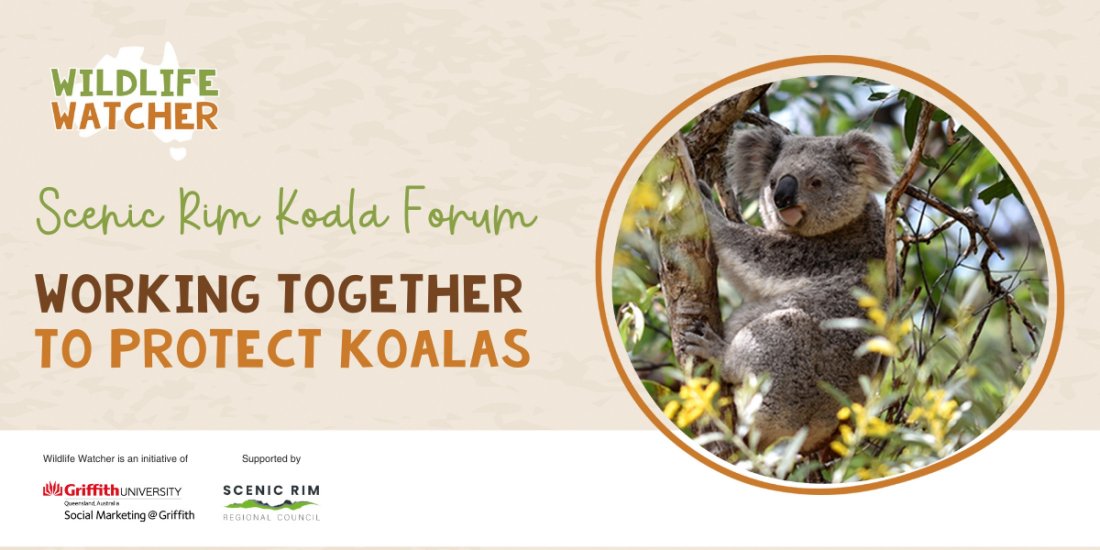 Scenic Rim Koala Forum