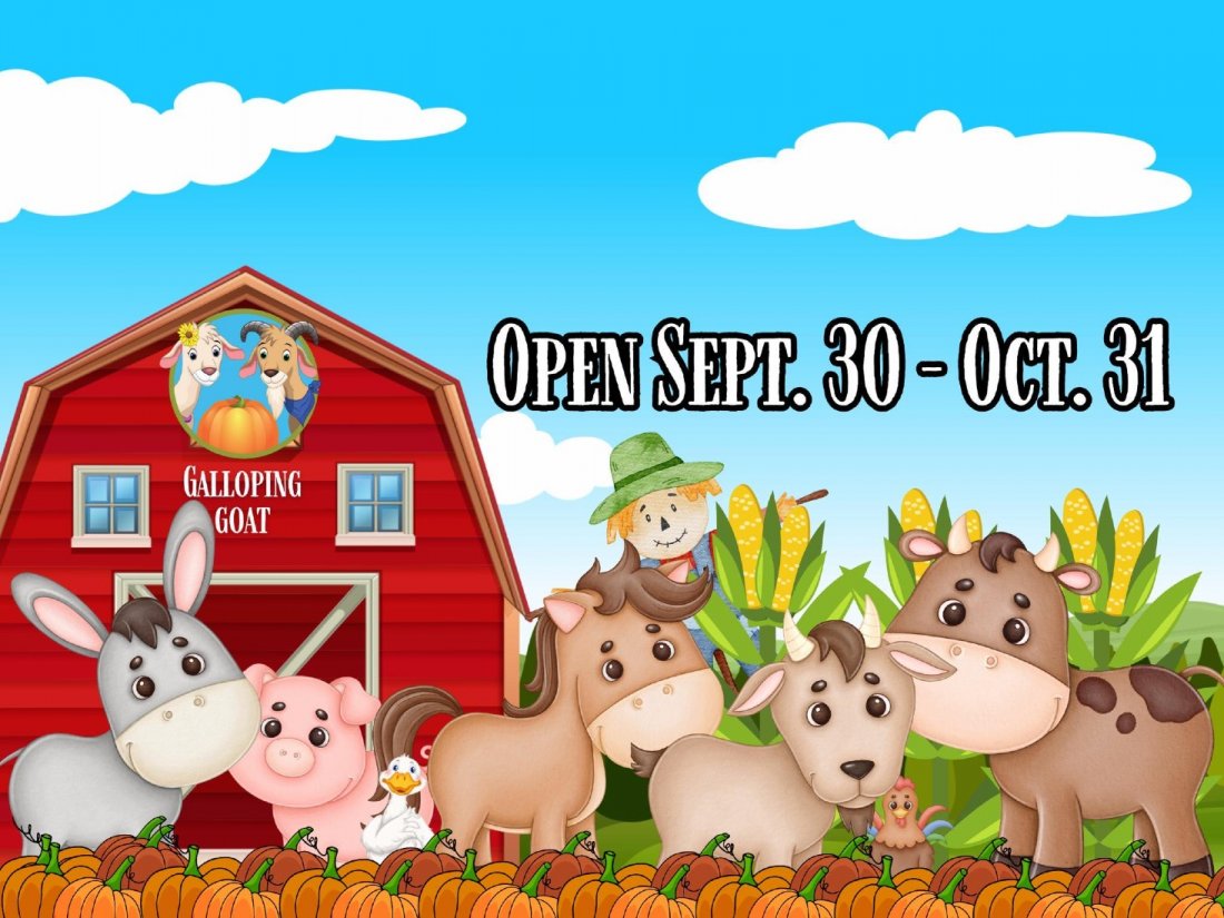 Galloping Goat Pumpkin Patch 2025