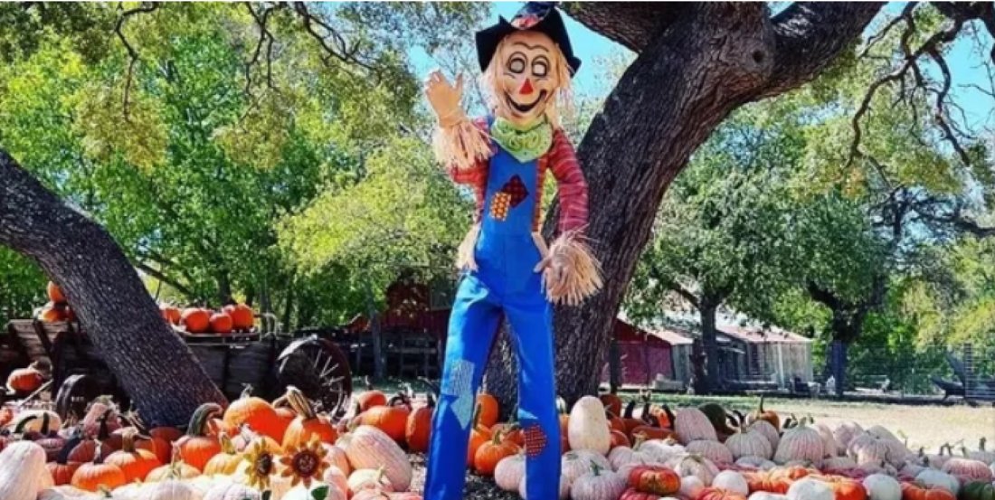 The Round Rock Pumpkin Festival 2025