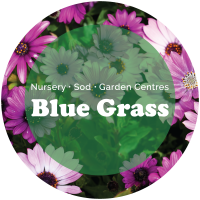 Blue Grass Garden Centre Calgary