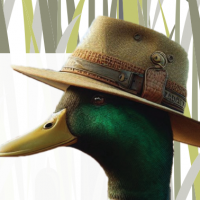 Ducks Unlimited Canada