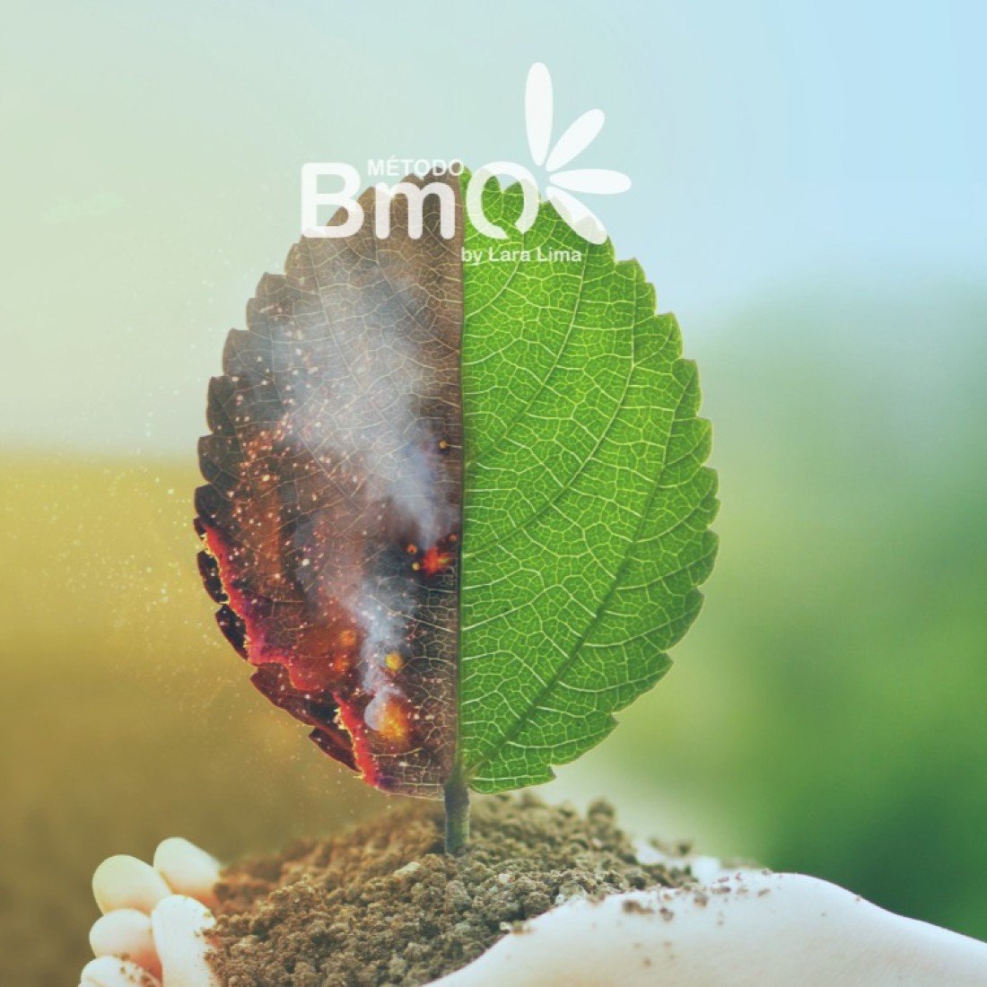 TERAPIA TRANSPESSOAL | REGRESS\u00c3O E ANCESTRALIDADE PALESTRA P\u00daBLICA GRATUITA