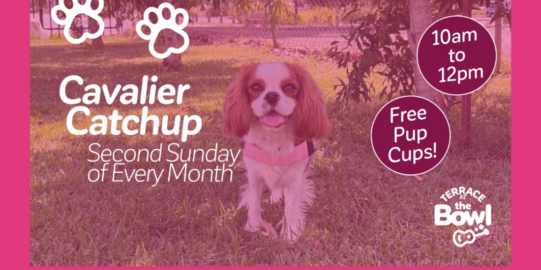 Cavalier Catch Up