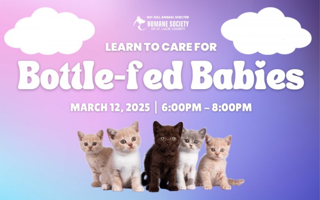 Bottle-fed Babies Class