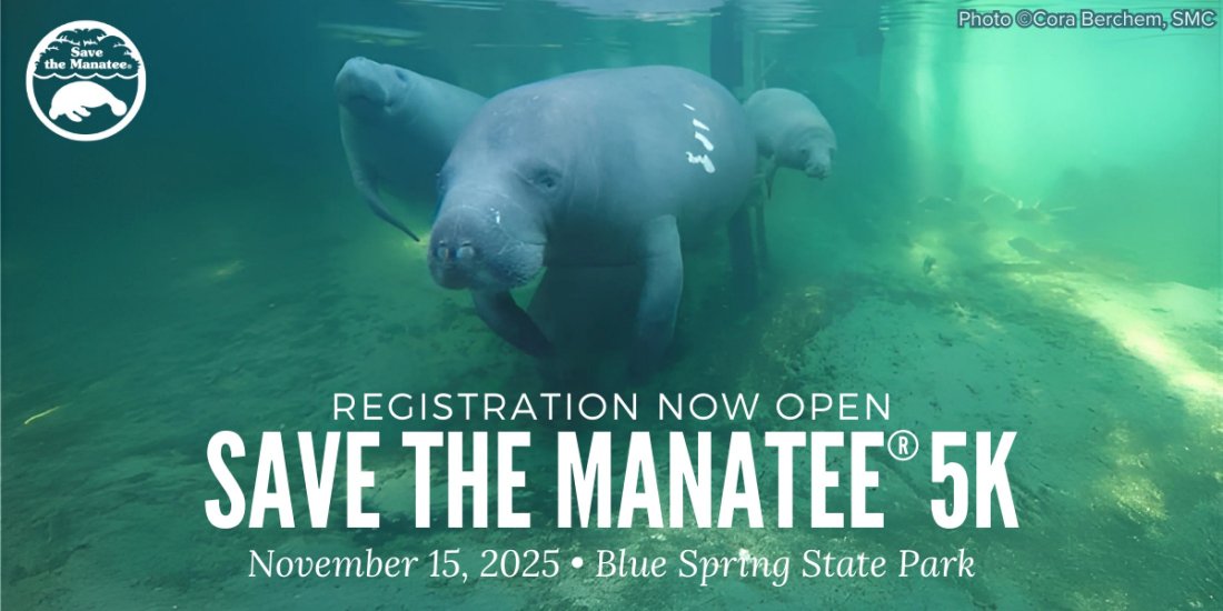 Save the Manatee 5K