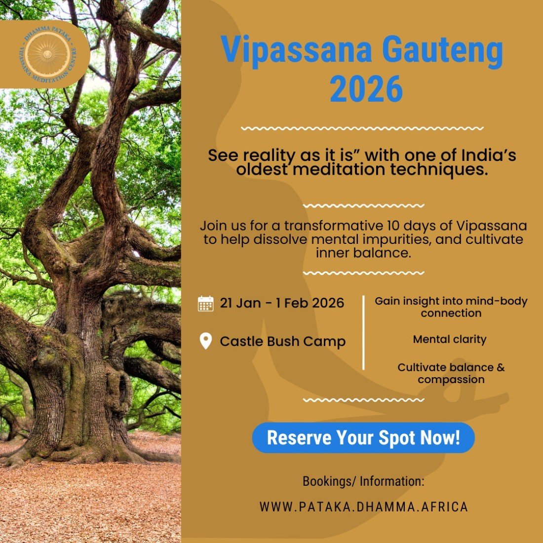 Vipassana meditation Guateng 