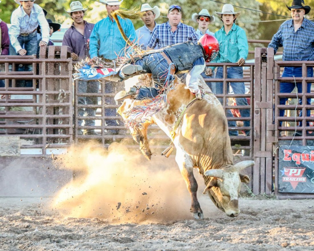 Brash Rodeo Summer Series Tickets, Blue Moon Rodeo, Columbia Falls, 28 ...