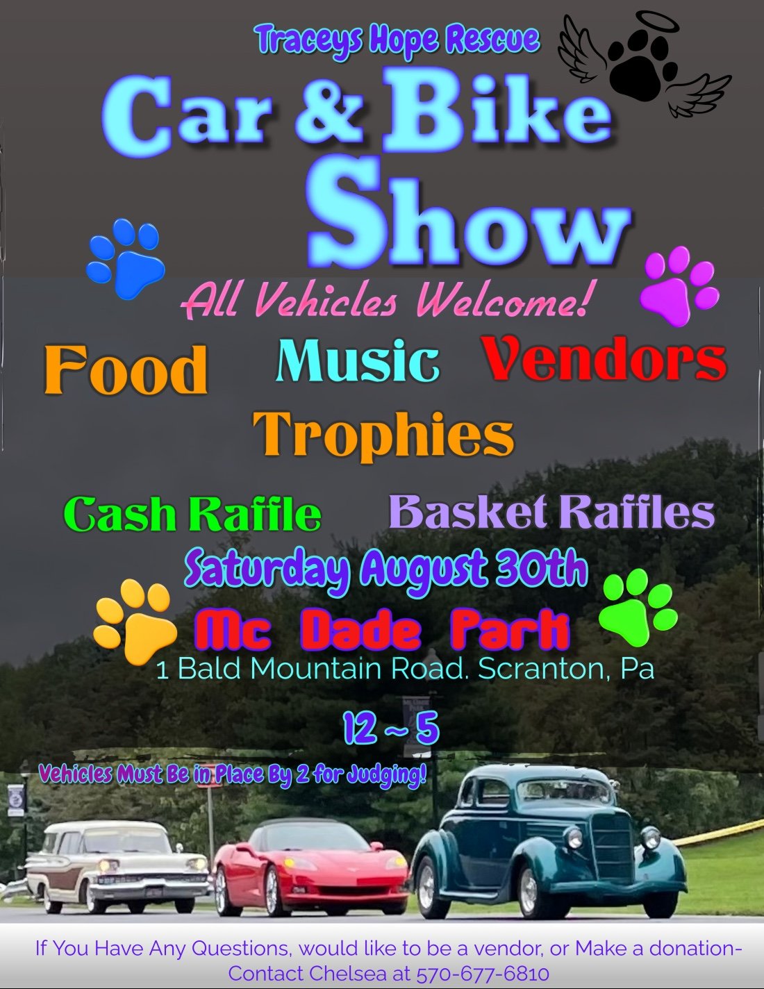 Tracey\u2019s Hope Rescue Annual Car and Bike  Show
