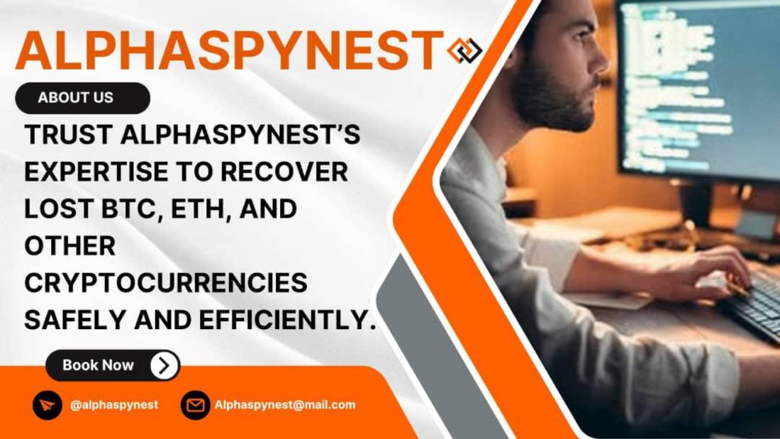HIRE ALPHA SPY NEST  EXPERTS TO HELP RETRIEVE ALL YOUR LOST ASSETS.