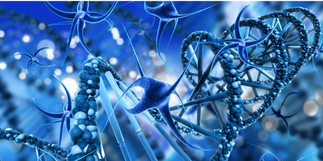 International Conference on Cellscience and Molecular Biology
