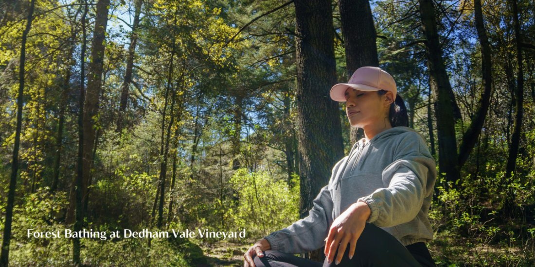Forest Bathing: Mindfulness in Nature - Dedham Vale Vineyard