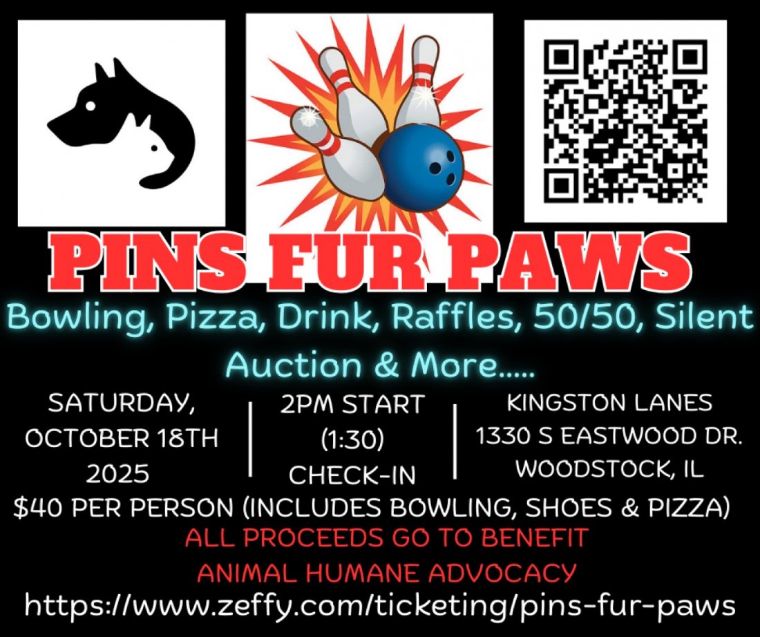 PINS FUR PAWS 2025