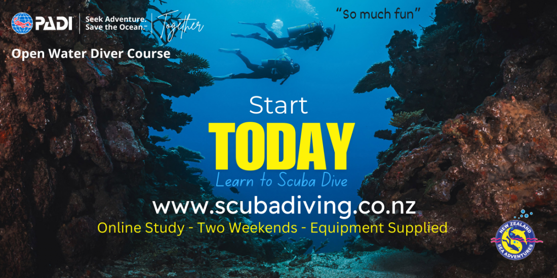 PADI Open Water Diver Course