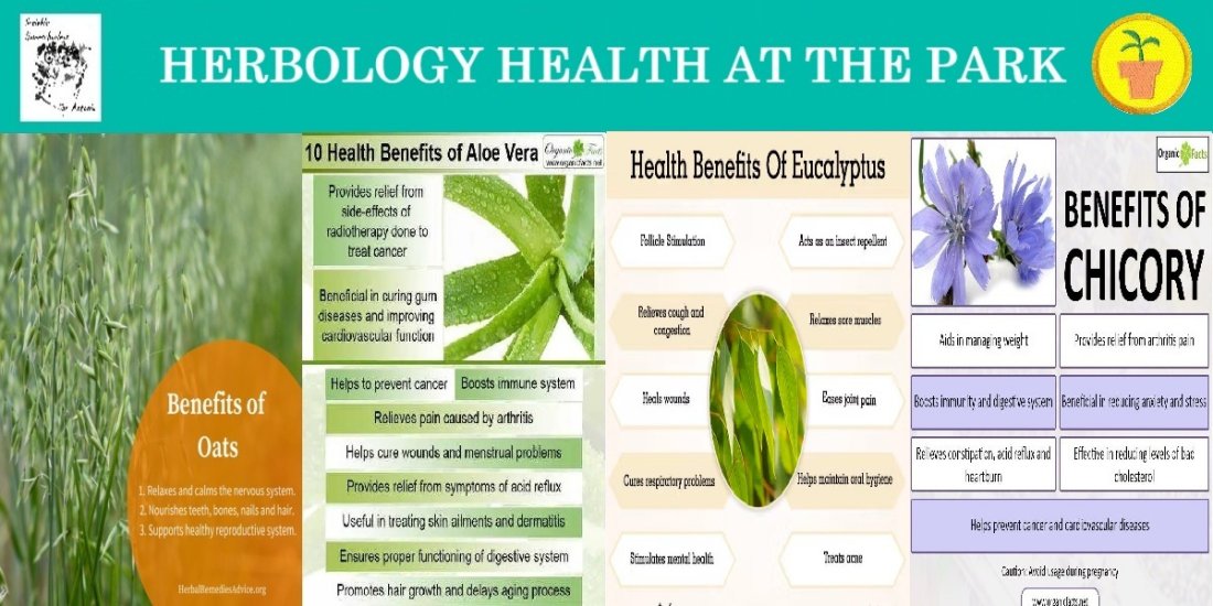 Herbology Health At The Park