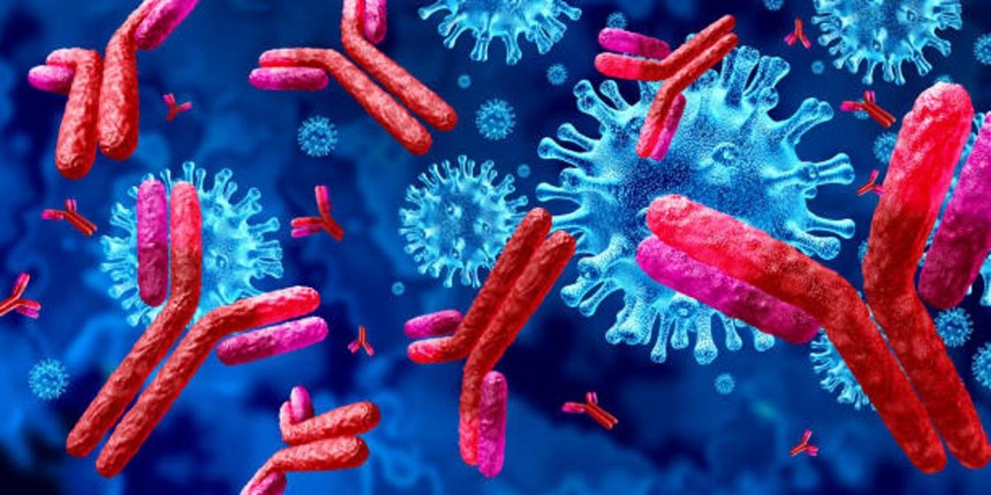 World Meet on Vaccines and Immunology (WMVI2025)