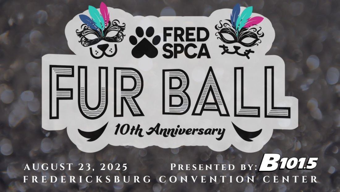 Fur Ball Gala: 10th Anniversary Masquerade
