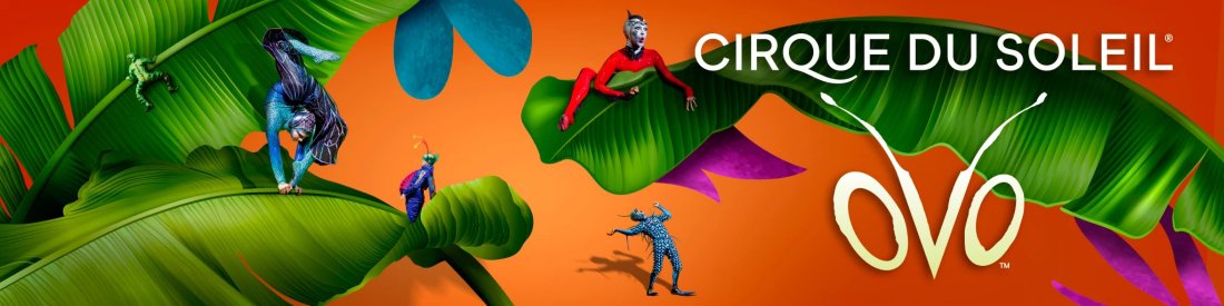 OVO by Cirque du Soleil Returns