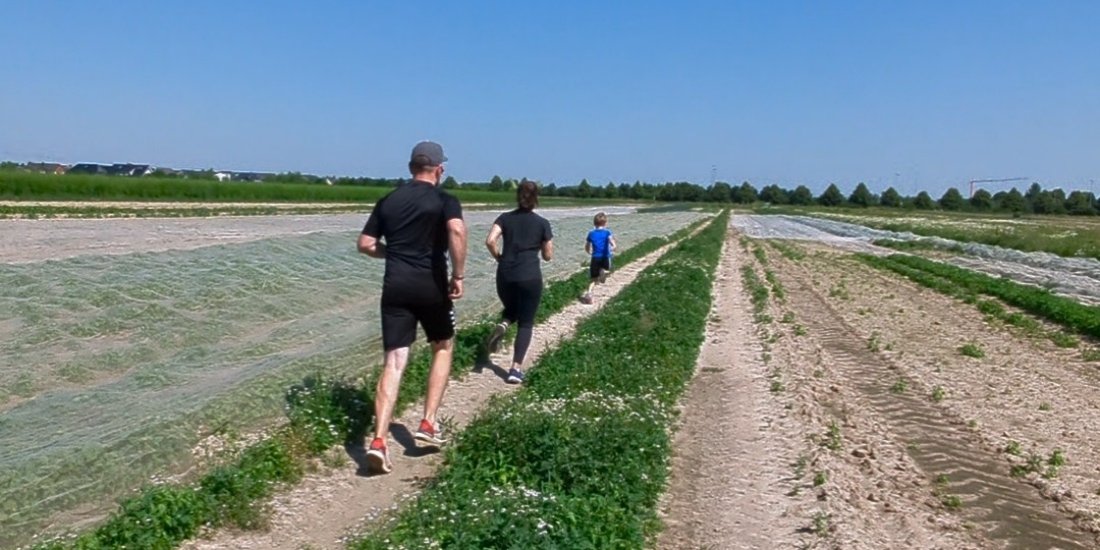 Ackerlauf 2025 in Braunschweig-Lamme