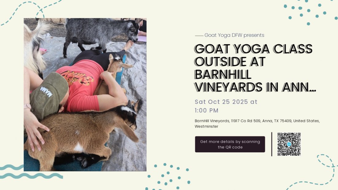 Goat Yoga Class Outside at BarnHill Vineyards in Anna - bring your own mat