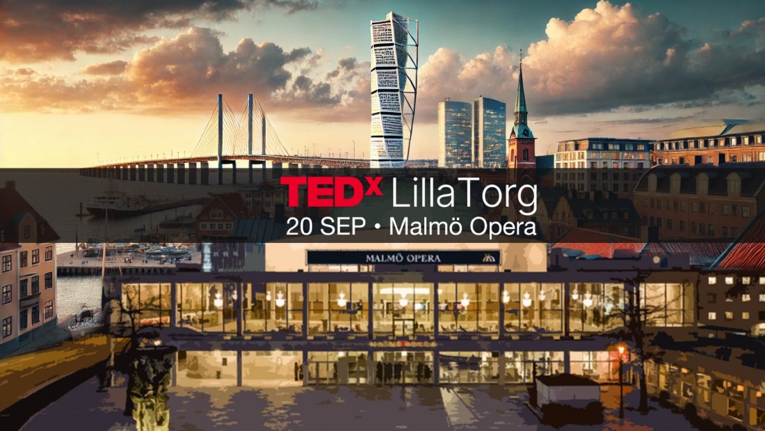  TEDxLillaTorg \u2013 Fuel for the Brave \ud83c\udfa4 \u274c