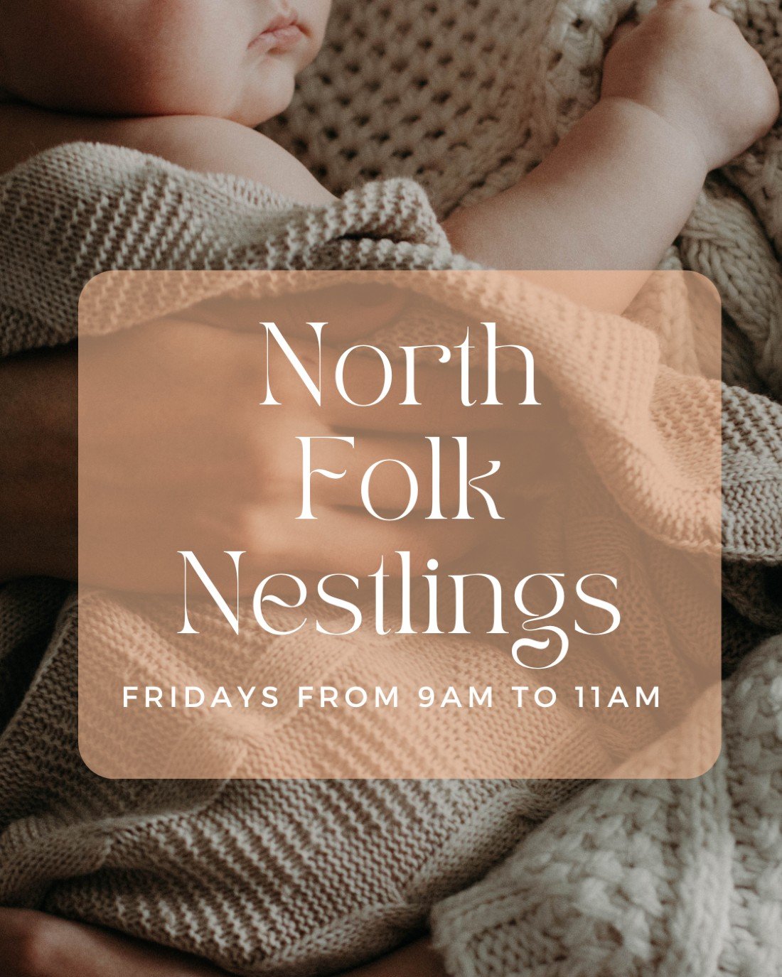 North Folk Nestlings