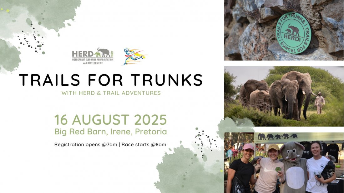 Trails for Trunks 2025 - HERD World Elephant Day Fundraiser