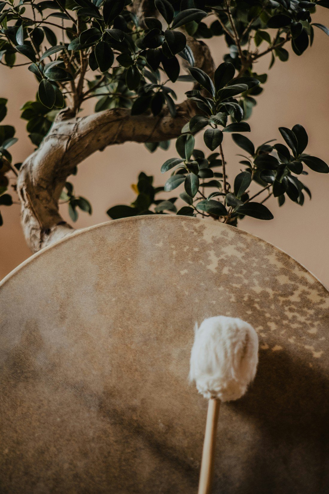 Shamanic Retreat: Return to Harmony & Wholness