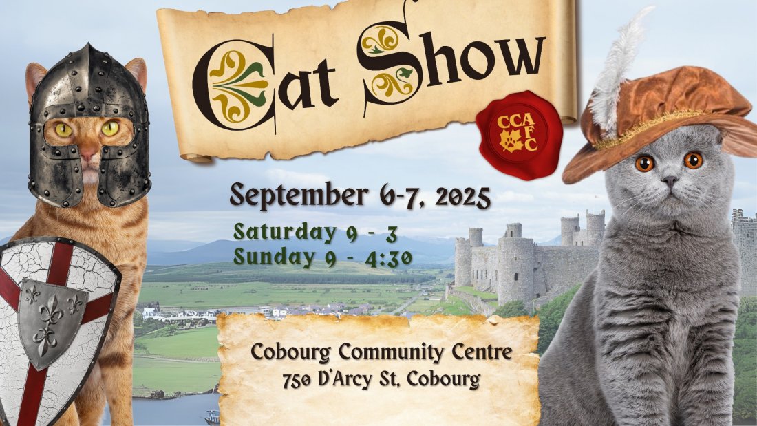 Motor City Cat Show 2025