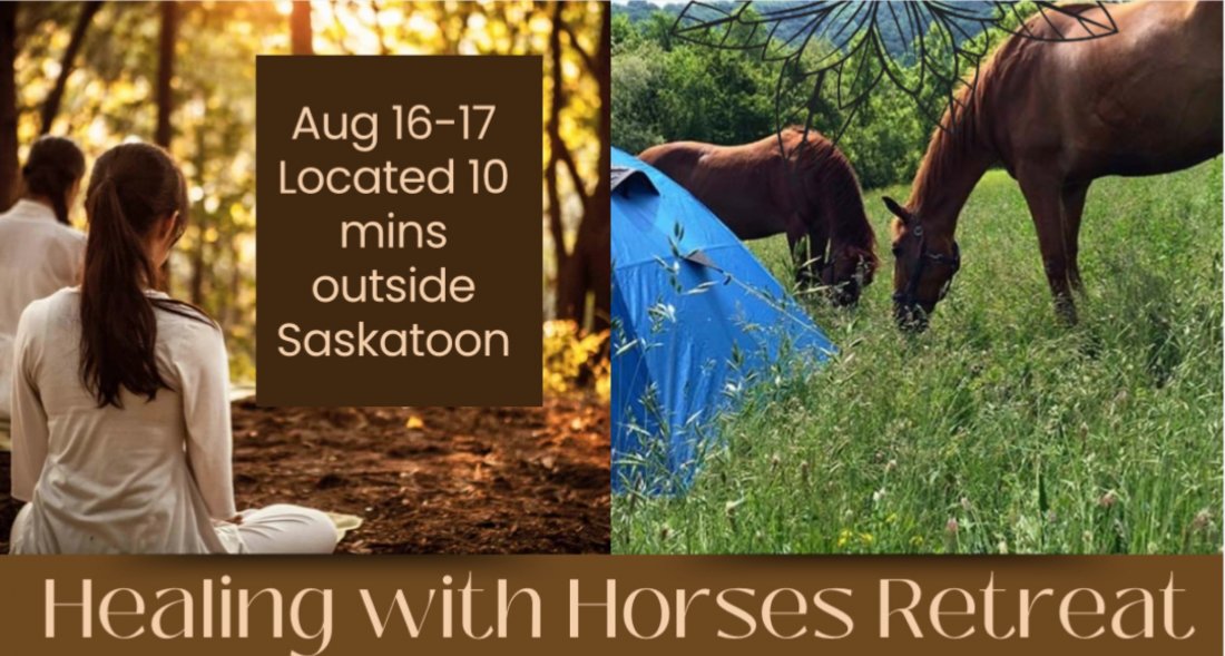 Healing with Horses: Journey to Inner Peace and Coherence