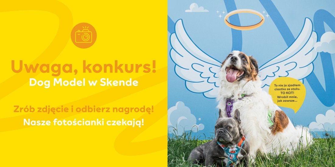 Dog Model w Skende! Zr\u00f3b zdj\u0119cie na naszej foto\u015bciance i odbierz nagrod\u0119!