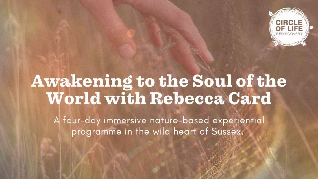 Awakening to the Soul of the World: Overnight Nature Experience with Rebecca Card