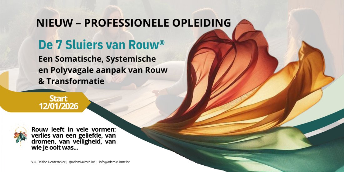 De 7 Sluiers van Rouw\u00ae Een Somatische, Systemische en Polyvagale aanpak van Rouw & Transformatie