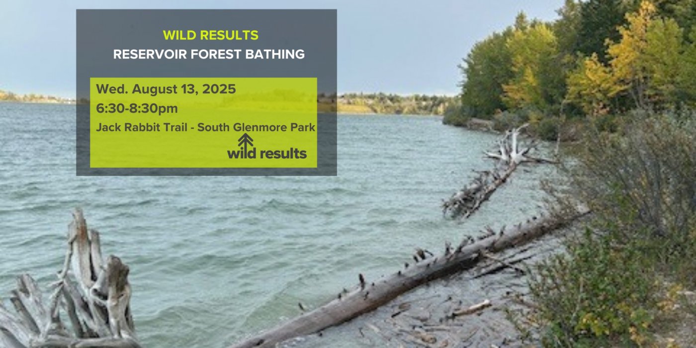 RESERVOIR FOREST BATHING