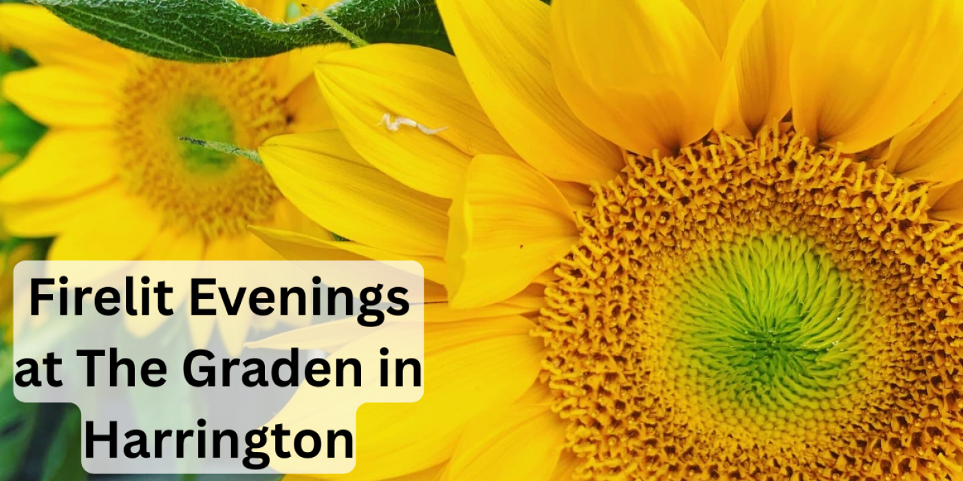 Firelit Evenings in The Garden