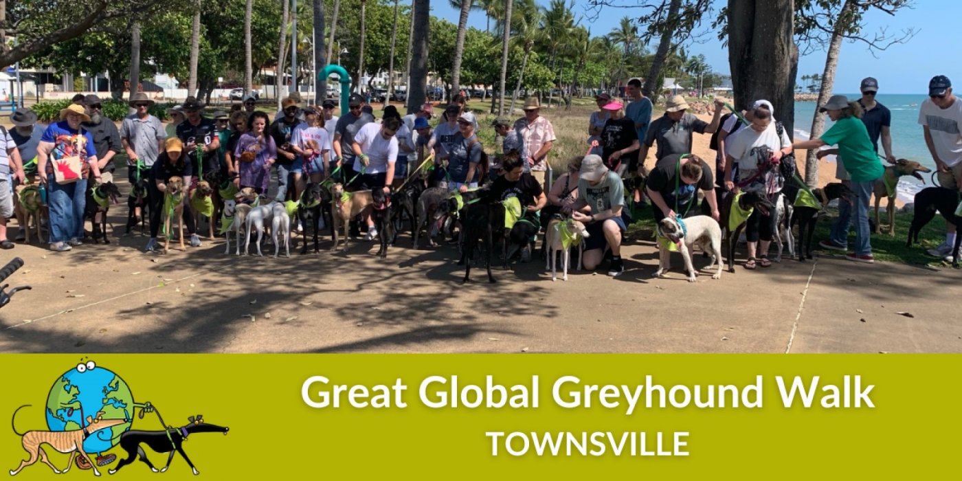 Great Global Greyhound Walk [TOWNSVILLE]