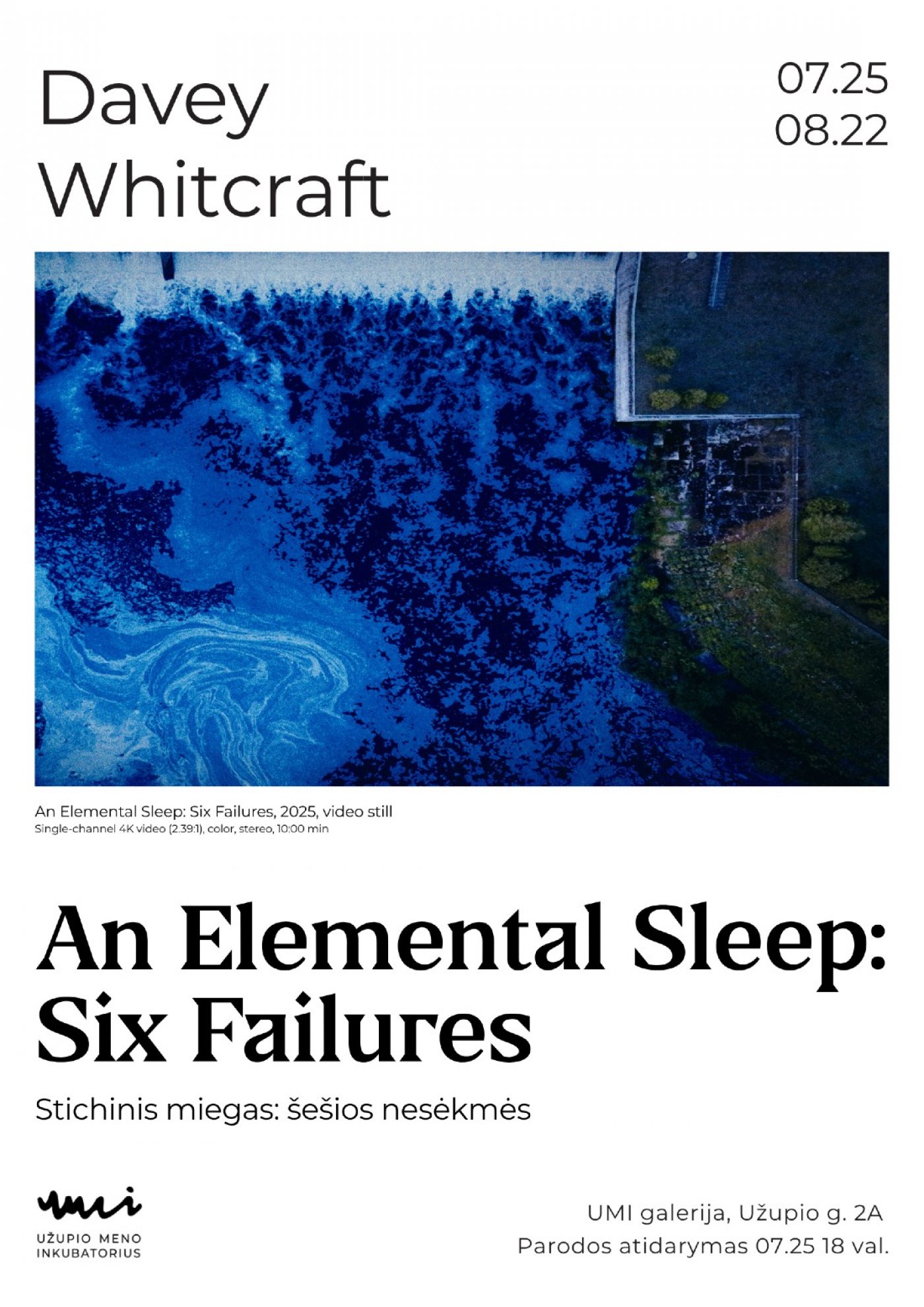 Davey Whitcraft "An Elemental Sleep: Six Failures"