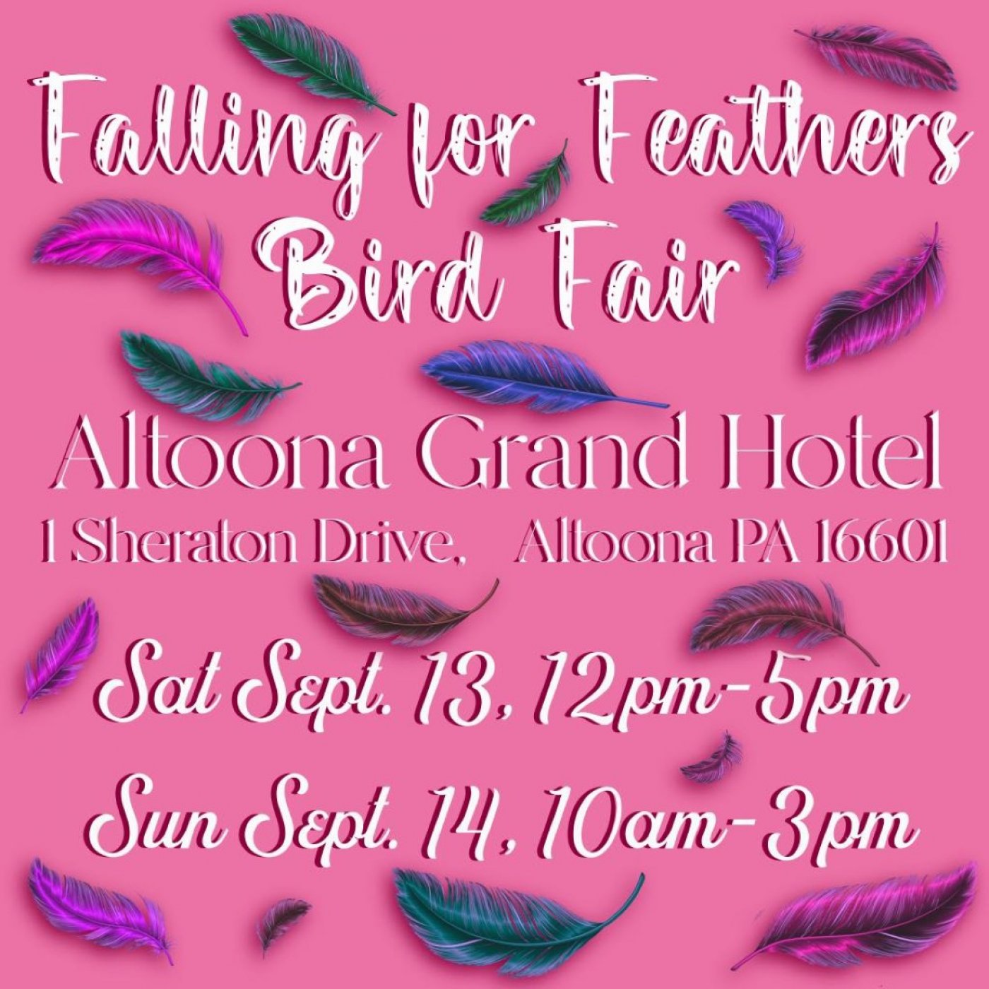Falling for feathers bird fair