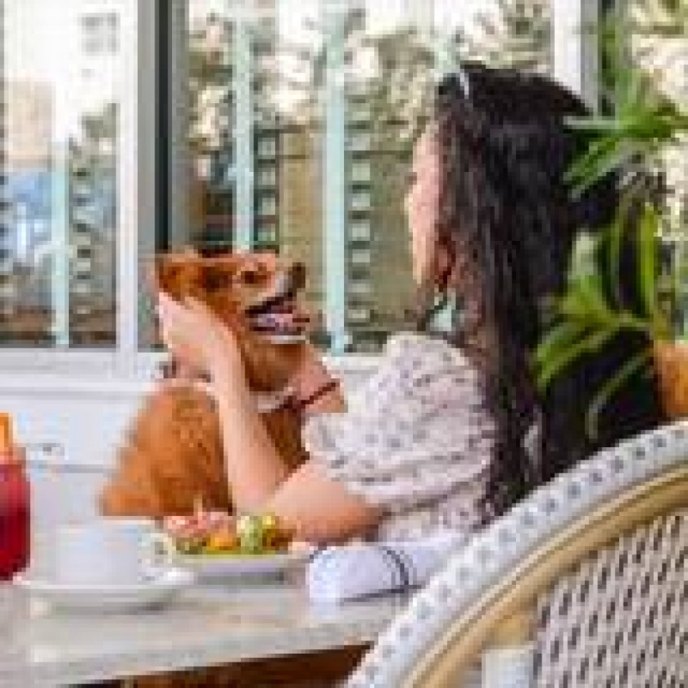 Pawty on the Patio: Dog Day Edition @ The Social Club