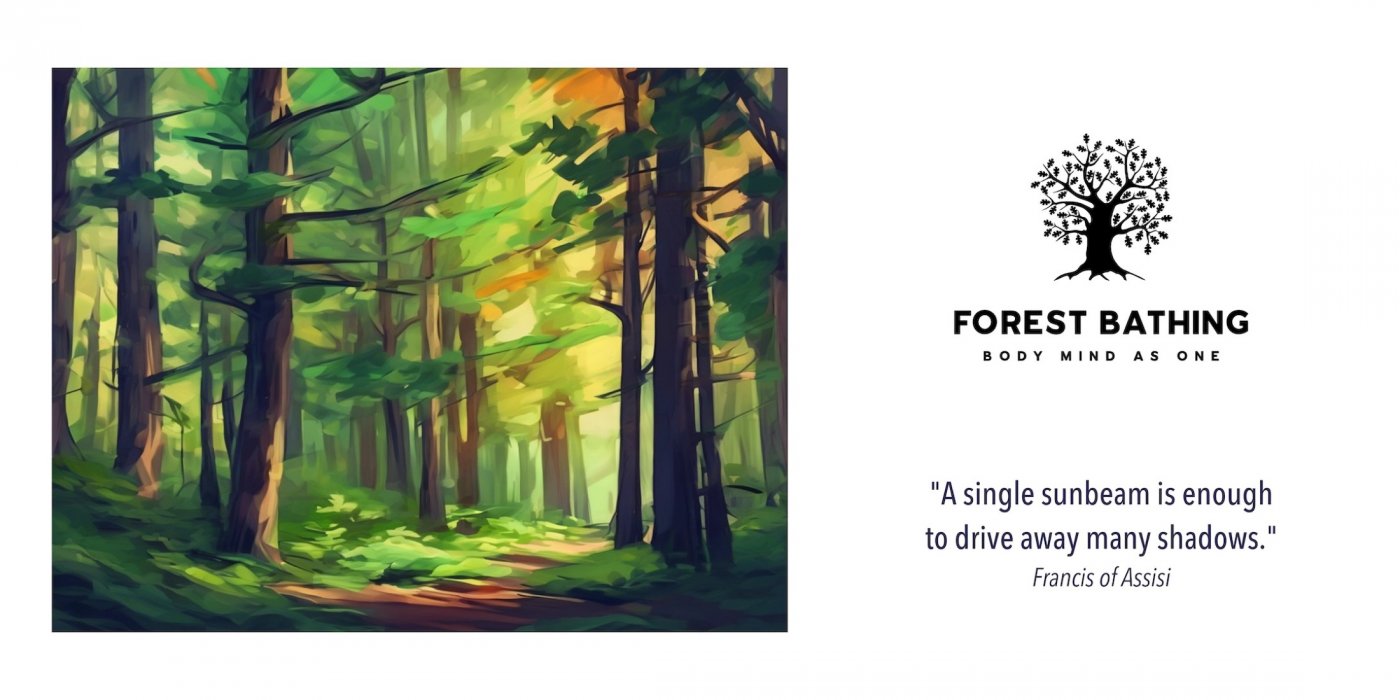 Late Summer Forest Bathing
