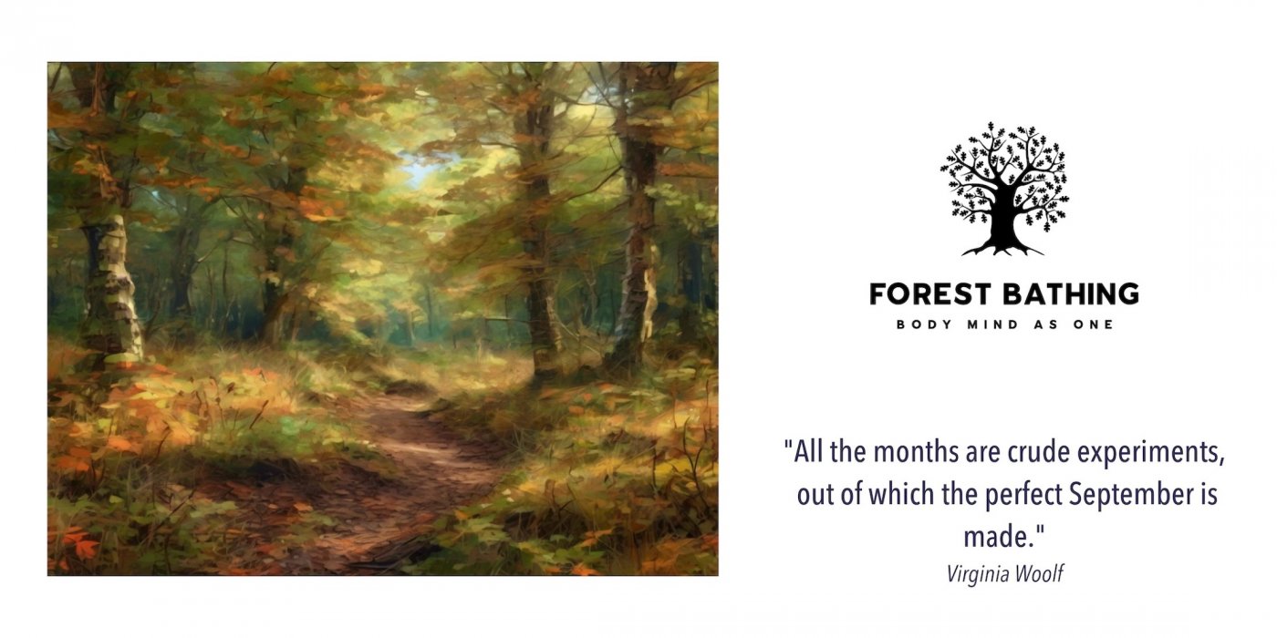 Late Summer Forest Bathing