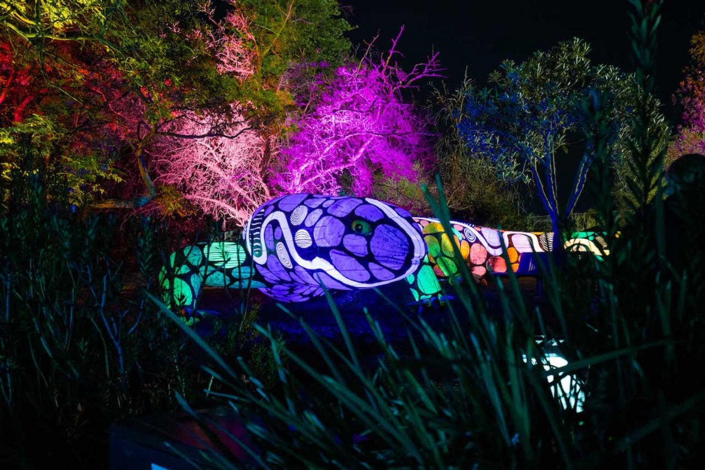 Opening Weekend FUSE Festival 2025