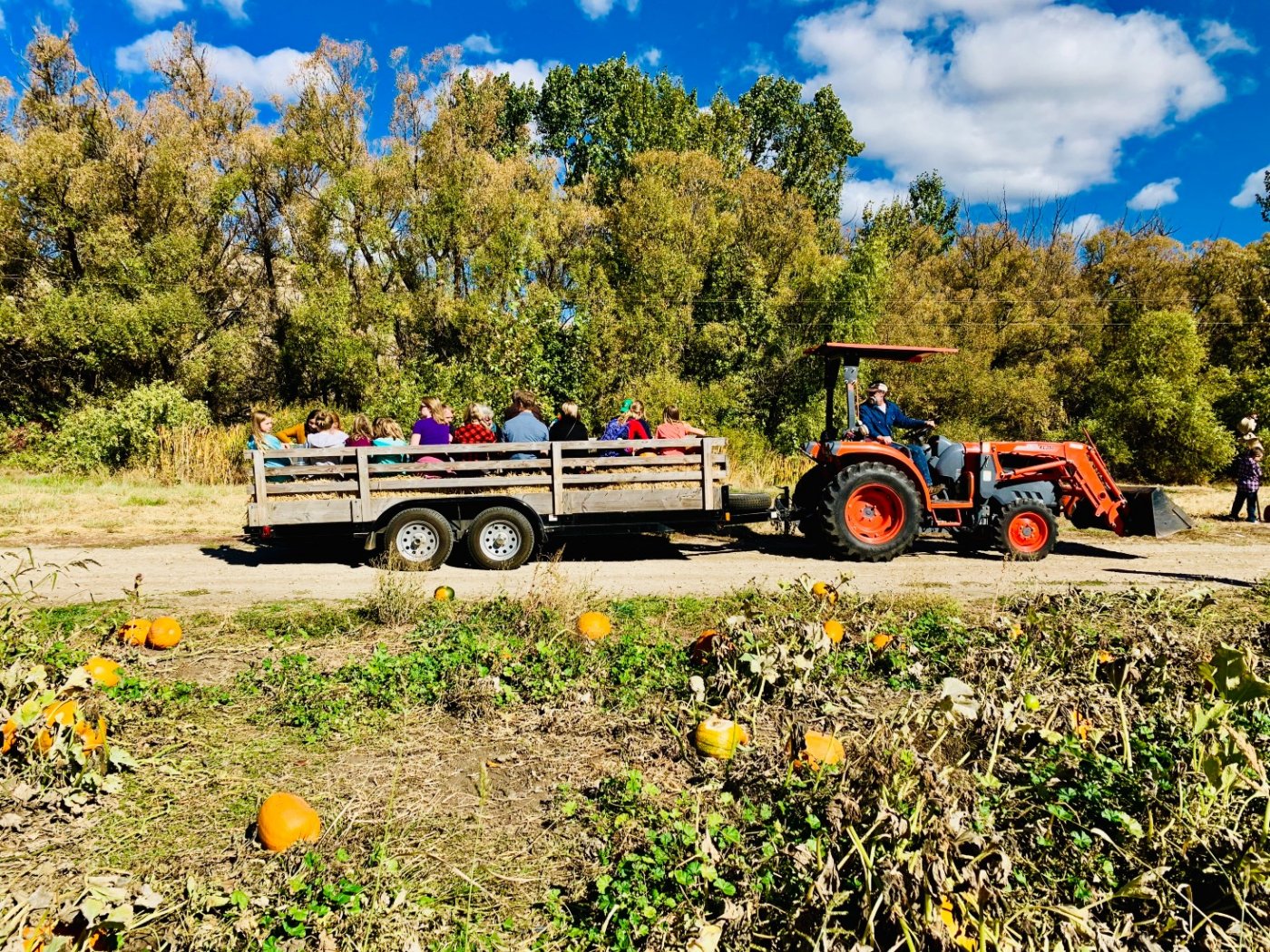 Schick-Ostolasa Historic Farmstead 16th Annual Old Time Farm Day, Sunday, September 28th from 12-5pm