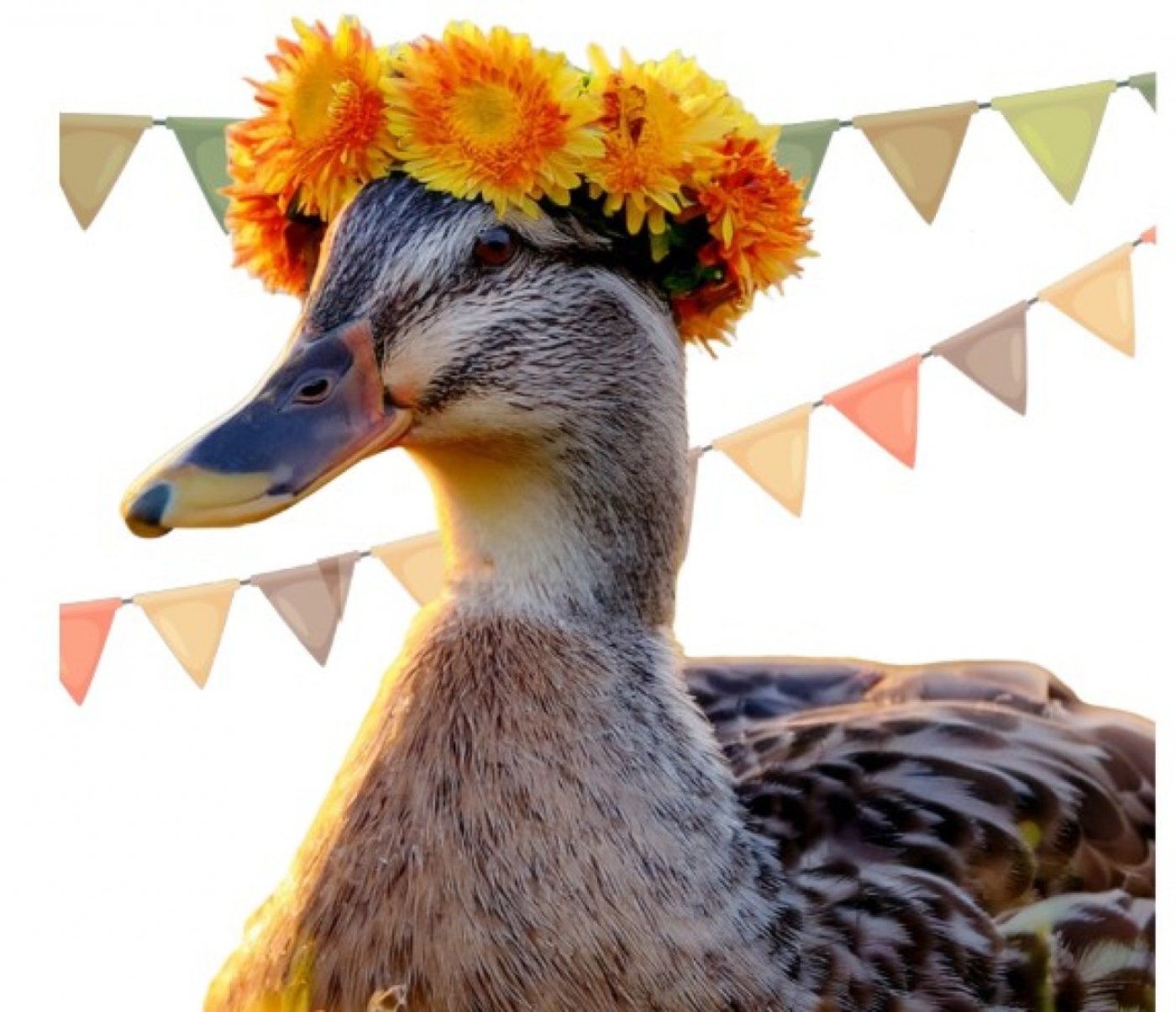 Edmonton Ducks Unlimited Annual Dinner and Auction